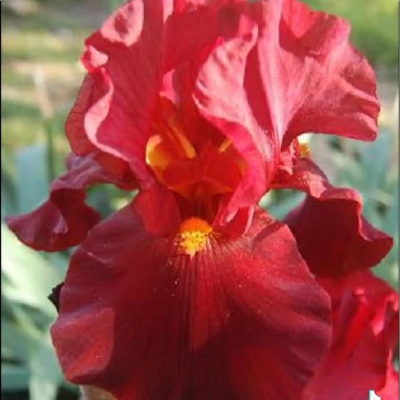 Thank you for visiting my closet - Picture 10 of 16